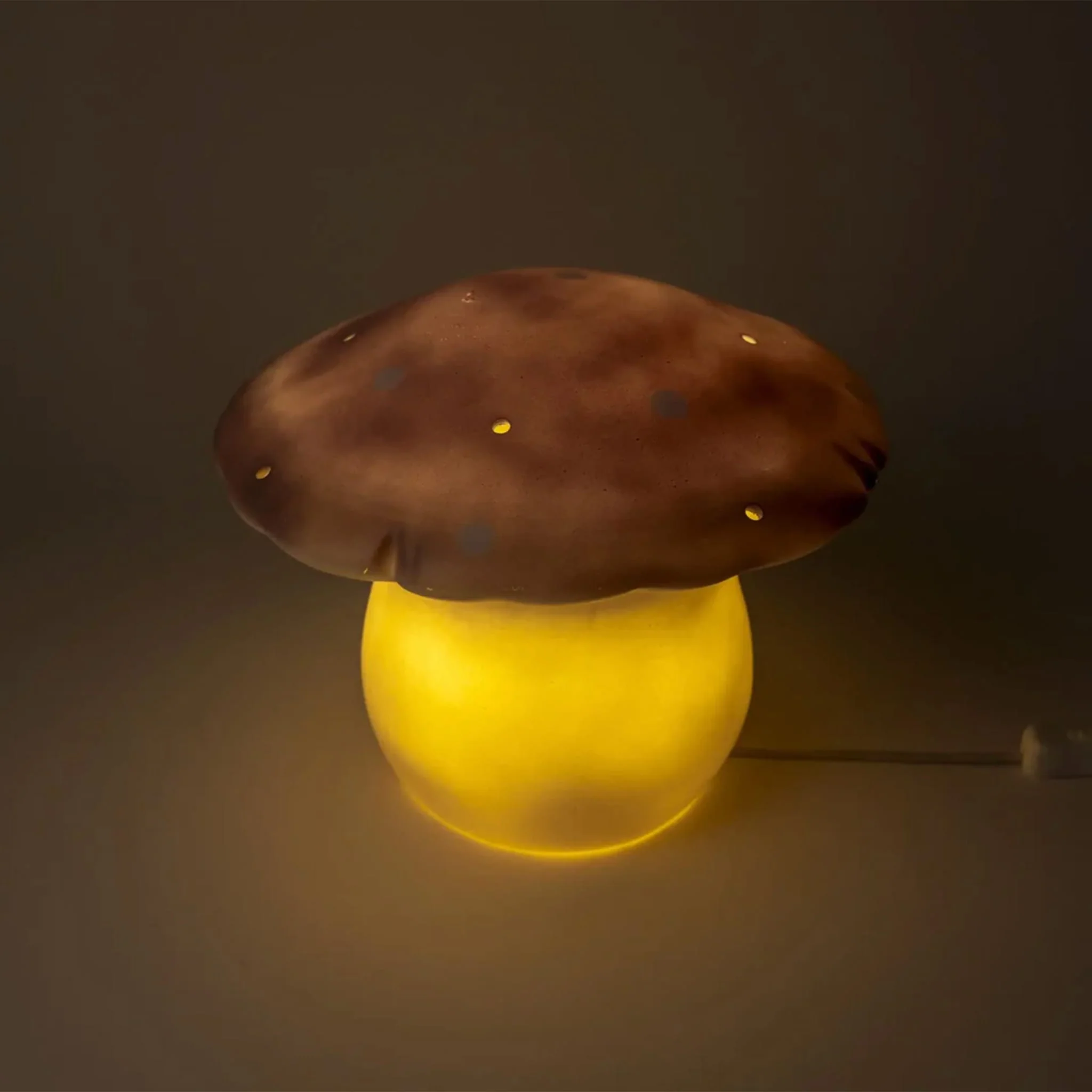 Image du produit 8