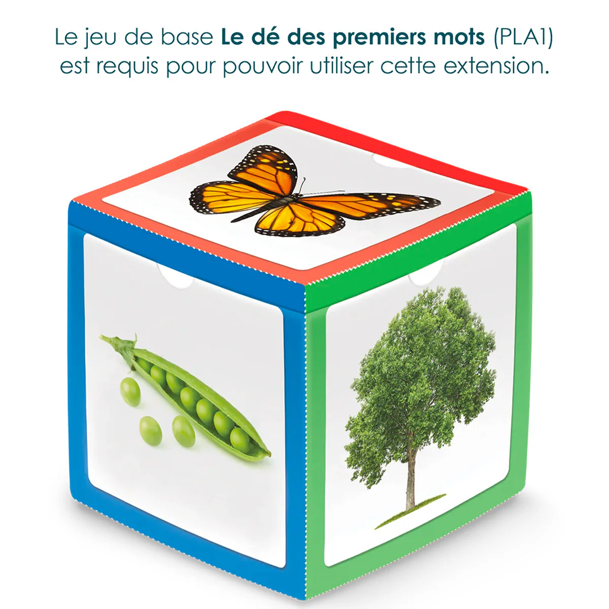 Image du produit 5